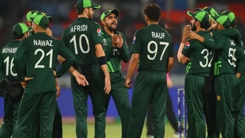 Pakistan should lose all remaining matches in World Cup